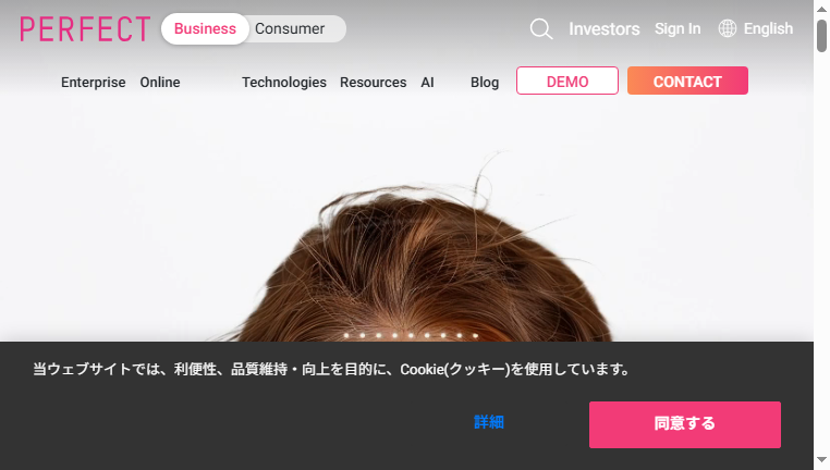 PerfectCorp Business